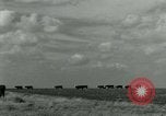 Image of World War II homefront effort in Texas Texas United States USA, 1945, second 4 stock footage video 65675020832