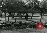 Image of World War II homefront effort in Texas Texas United States USA, 1945, second 5 stock footage video 65675020832