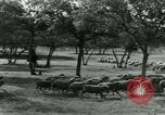 Image of World War II homefront effort in Texas Texas United States USA, 1945, second 6 stock footage video 65675020832