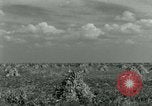 Image of World War II homefront effort in Texas Texas United States USA, 1945, second 7 stock footage video 65675020832