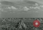 Image of World War II homefront effort in Texas Texas United States USA, 1945, second 8 stock footage video 65675020832