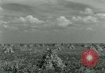 Image of World War II homefront effort in Texas Texas United States USA, 1945, second 9 stock footage video 65675020832