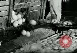 Image of World War II homefront effort in Texas Texas United States USA, 1945, second 20 stock footage video 65675020832