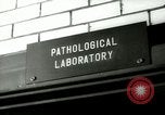 Image of Blood tests New York United States USA, 1948, second 14 stock footage video 65675020838