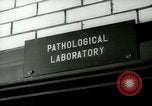 Image of Blood tests New York United States USA, 1948, second 15 stock footage video 65675020838