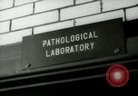 Image of Blood tests New York United States USA, 1948, second 16 stock footage video 65675020838