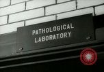 Image of Blood tests New York United States USA, 1948, second 17 stock footage video 65675020838