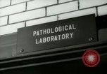 Image of Blood tests New York United States USA, 1948, second 18 stock footage video 65675020838