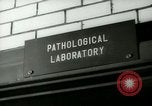 Image of Blood tests New York United States USA, 1948, second 19 stock footage video 65675020838