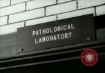 Image of Blood tests New York United States USA, 1948, second 20 stock footage video 65675020838