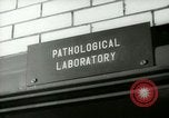 Image of Blood tests New York United States USA, 1948, second 22 stock footage video 65675020838