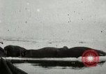 Standbild Walross Jagd Saint Lawrence Island Alaska USA, 1915, aus Sekunde 30 historischem Filmmaterial Videoclip 65675020844