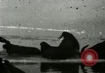 Standbild Walross Jagd Saint Lawrence Island Alaska USA, 1915, aus Sekunde 35 historischem Filmmaterial Videoclip 65675020844