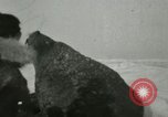 Standbild Walross Jagd Saint Lawrence Island Alaska USA, 1915, aus Sekunde 59 historischem Filmmaterial Videoclip 65675020844