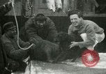 Image bébé morse Saint Lawrence Island Alaska USA, 1915, de la seconde 12 séquences d'archives historiques vidéo 65675020845