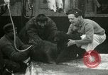 Image bébé morse Saint Lawrence Island Alaska USA, 1915, de la seconde 13 séquences d'archives historiques vidéo 65675020845