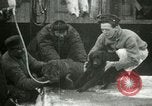 Image bébé morse Saint Lawrence Island Alaska USA, 1915, de la seconde 14 séquences d'archives historiques vidéo 65675020845
