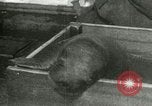Image bébé morse Saint Lawrence Island Alaska USA, 1915, de la seconde 28 séquences d'archives historiques vidéo 65675020845