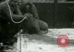 Image bébé morse Saint Lawrence Island Alaska USA, 1915, de la seconde 40 séquences d'archives historiques vidéo 65675020845