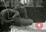 Image bébé morse Saint Lawrence Island Alaska USA, 1915, de la seconde 51 séquences d'archives historiques vidéo 65675020845