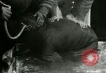 Image bébé morse Saint Lawrence Island Alaska USA, 1915, de la seconde 57 séquences d'archives historiques vidéo 65675020845