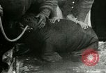 Image bébé morse Saint Lawrence Island Alaska USA, 1915, de la seconde 58 séquences d'archives historiques vidéo 65675020845