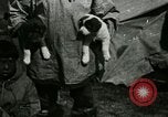 Standbild Alaskan Dorf Alaska USA, 1915, aus Sekunde 36 historischem Filmmaterial Videoclip 65675020847
