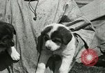 Standbild Alaskan Dorf Alaska USA, 1915, aus Sekunde 40 historischem Filmmaterial Videoclip 65675020847