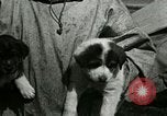 Standbild Alaskan Dorf Alaska USA, 1915, aus Sekunde 41 historischem Filmmaterial Videoclip 65675020847