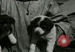 Standbild Alaskan Dorf Alaska USA, 1915, aus Sekunde 42 historischem Filmmaterial Videoclip 65675020847