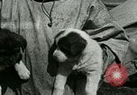 Standbild Alaskan Dorf Alaska USA, 1915, aus Sekunde 43 historischem Filmmaterial Videoclip 65675020847