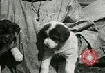 Standbild Alaskan Dorf Alaska USA, 1915, aus Sekunde 44 historischem Filmmaterial Videoclip 65675020847