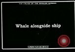 Standbild Walfang Alaska USA, 1915, aus Sekunde 1 historischem Filmmaterial Videoclip 65675020848