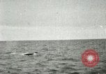 Standbild Walfang Alaska USA, 1915, aus Sekunde 50 historischem Filmmaterial Videoclip 65675020848
