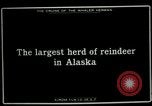 Standbild Rentierzüchtung Point Barrow Alaska USA, 1915, aus Sekunde 3 historischem Filmmaterial Videoclip 65675020851