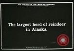 Standbild Rentierzüchtung Point Barrow Alaska USA, 1915, aus Sekunde 7 historischem Filmmaterial Videoclip 65675020851