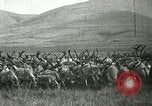 Standbild Rentierzüchtung Point Barrow Alaska USA, 1915, aus Sekunde 8 historischem Filmmaterial Videoclip 65675020851