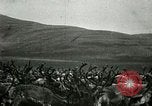 Standbild Rentierzüchtung Point Barrow Alaska USA, 1915, aus Sekunde 18 historischem Filmmaterial Videoclip 65675020851