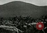Standbild Rentierzüchtung Point Barrow Alaska USA, 1915, aus Sekunde 30 historischem Filmmaterial Videoclip 65675020851