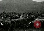 Standbild Rentierzüchtung Point Barrow Alaska USA, 1915, aus Sekunde 33 historischem Filmmaterial Videoclip 65675020851