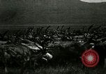 Standbild Rentierzüchtung Point Barrow Alaska USA, 1915, aus Sekunde 39 historischem Filmmaterial Videoclip 65675020851