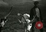 Standbild Rentierzüchtung Point Barrow Alaska USA, 1915, aus Sekunde 51 historischem Filmmaterial Videoclip 65675020851