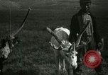 Standbild Rentierzüchtung Point Barrow Alaska USA, 1915, aus Sekunde 53 historischem Filmmaterial Videoclip 65675020851