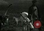 Standbild Rentierzüchtung Point Barrow Alaska USA, 1915, aus Sekunde 55 historischem Filmmaterial Videoclip 65675020851