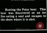 Standbild Polar Bear Jagd Herschel Island Arktischen Ozean, 1915, aus Sekunde 5 historischem Filmmaterial Videoclip 65675020856