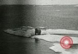 Standbild Polar Bear Jagd Herschel Island Arktischen Ozean, 1915, aus Sekunde 38 historischem Filmmaterial Videoclip 65675020856