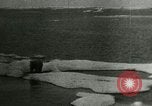 Standbild Polar Bear Jagd Herschel Island Arktischen Ozean, 1915, aus Sekunde 40 historischem Filmmaterial Videoclip 65675020856