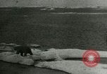 Standbild Polar Bear Jagd Herschel Island Arktischen Ozean, 1915, aus Sekunde 44 historischem Filmmaterial Videoclip 65675020856