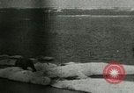 Standbild Polar Bear Jagd Herschel Island Arktischen Ozean, 1915, aus Sekunde 45 historischem Filmmaterial Videoclip 65675020856
