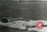 Standbild Polar Bear Jagd Herschel Island Arktischen Ozean, 1915, aus Sekunde 47 historischem Filmmaterial Videoclip 65675020856